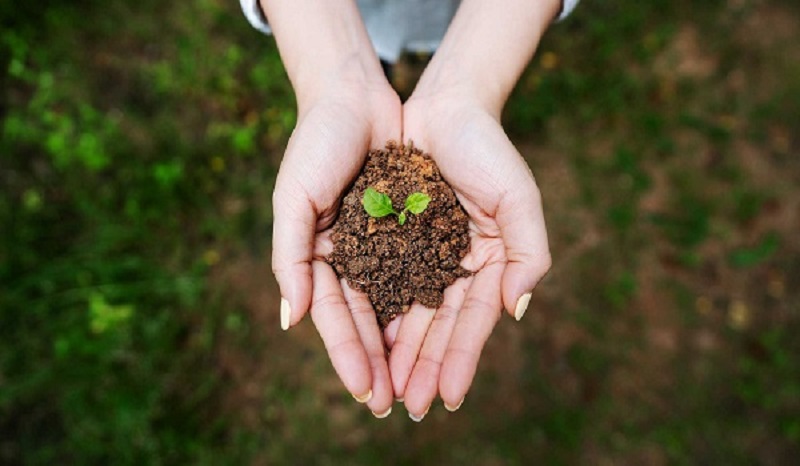 Màu vàng và nâu đất giúp củng cố nội lực, duy trì sự ổn định và thu hút tài lộc.
