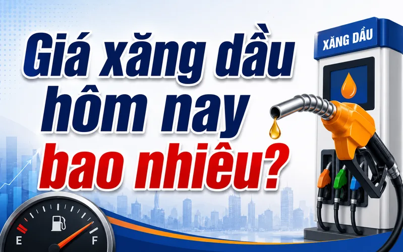 Cập nhật giá xăng dầu giúp người dùng nắm nhanh mức giá mới trước khi đổ nhiên liệu